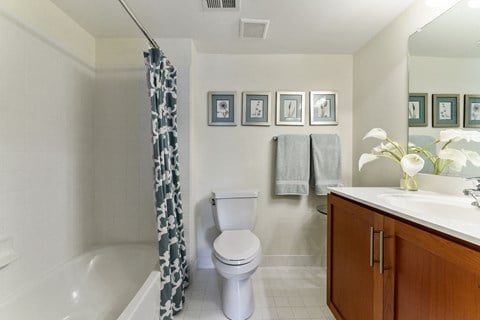 Telluride Bathroom